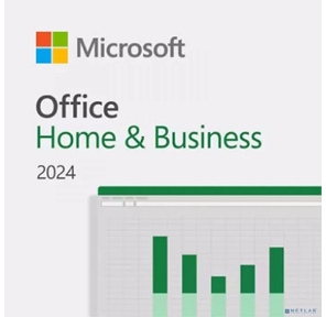Office Home and Business 2024 All Lng Retail Online CE Only ESD