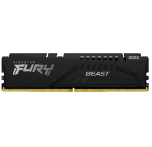 Kingston KF556C40BB-16 Fury Beast DDR5 16GB 5600 MT / s PC5-44800 CL40 DIMM 288-pin 1.25В single rank с радиатором Ret