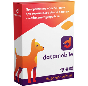 Неискл. право на исп-ие ПО DataMobile версия Online Lite - подписка на 12 месяцев  (DMONLINELITE12M)