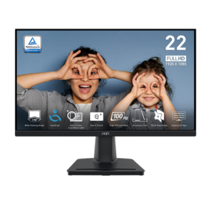 Монитор MSI PRO MP225V 21, 45" 16:9 FHD (1920x1080) VA Flat,  1ms (MPRT), 4000:1, 100M:1, 300nit, 178 / 178, HDMI 1.4b, Tilt, VESA, 100Hz, Black, 1y war-ty