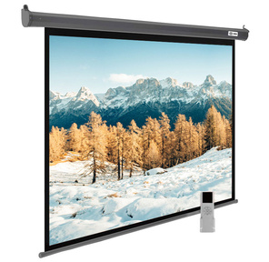 Экран Cactus 188x300см SIlverMotoExpert CS-PSSME-300X188-DG 16:10 настенно-потолочный рулонный тёмно-серый  (моторизованный привод)