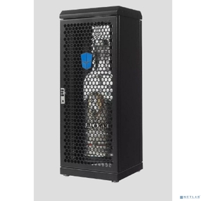 ЦМО ШТК-СП-С-8.1.1-9005 Шкаф серверный сувенирный