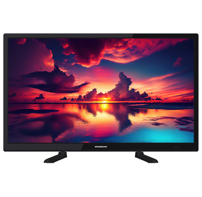 LED Erisson 24" 24LM8000CT2 черный HD 60Hz DVB-T DVB-T2 DVB-C USB  (RUS)