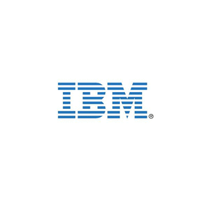 IBM 3m Blue Cat5e Cable