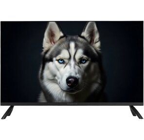 Телевизор Topdevice 32" / FHD / VA / Smart WildRed / 1-8 ГБ / Wi-Fi 2.4 ГГц / 60 Гц / черный  (TDWC32BF2110V)