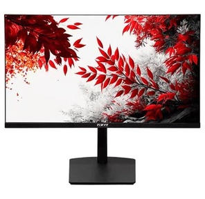 Монитор RDW Computers 31.5" RDW3207 черный IPS 1ms HDMI M / M HAS Piv 350cd 178гр / 178гр 2560x1440 100Hz VGA DP QHD USB  (RUS)