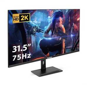 Монитор с аудио 31.5" WQHD ExeGate SmartView ES3207TA  (IPS LED Grade A+,  2K,  2560x1440@75Гц  (WQHD),  16:9,  250cd / m2,  1000:1,  178° / 178°,  1ms,  HDMI,  DisplayPort,  USB,  audio-out,  speakers,  Flicker-free,  FreeSync,  Low Blue Light,  кабель HDMI 1.5м,  VESA 75x75,  регулировка высоты  (HAS),  регулировка наклона  (tilt),  черный)