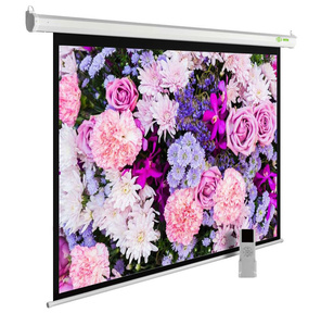 Экран Cactus 315x420см MotoExpert CS-PSME-420x315-WT 4:3 настенно-потолочный рулонный белый  (моторизованный привод)