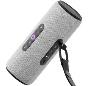 Умная портативная колонка Яндекс Станция Стрит с Алисой,  серая,  YNDX-00030GRY