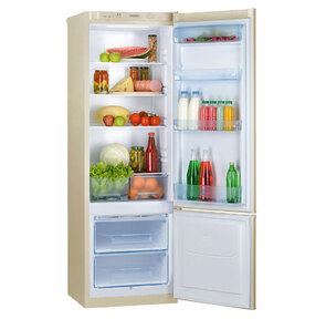 Холодильник RK-103 BEIGE 544TV POZIS