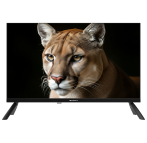 Телевизор TopDevice 24" TDWC24BH1000I HD / IPS / noSmart / черный