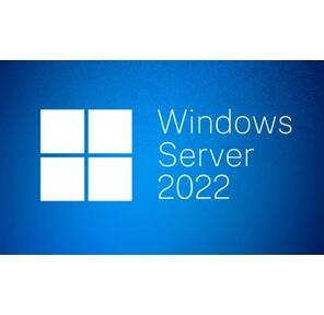 Лицензия OEM Windows Server CAL 2022 Russian 1pk DSP OEI 1 Clt User CAL  (R18-06457) MICROSOFT