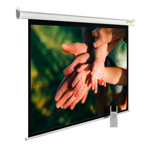 Экран Cactus 280x280см MotoExpert CS-PSME-280x280-WT 1:1 настенно-потолочный рулонный белый  (моторизованный привод)
