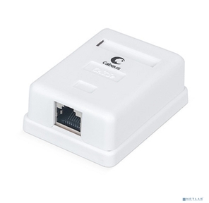 Cabeus WS-8P8C-Cat.5e-SH-1 Розетка компьютерная RJ-45 (8P8C),  категория 5e,  экранированная,  одинарная,  внешняя,  Dual IDC