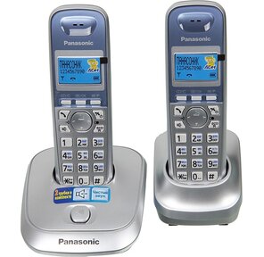 Panasonic KX-TG2512RUS,  DECT,  с опред.номера,  доп. трубка,  серебристый