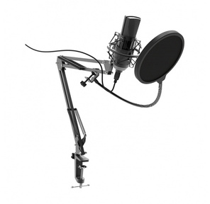 Микрофон проводной Ritmix RDM-180 2.5м черный
