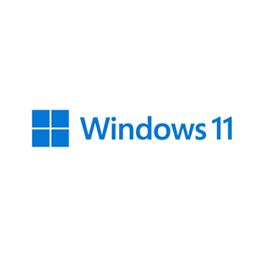 Microsoft Windows 11 Pro 64Bit Eng Intl 1pk DSP OEI DVD  (FQC-10528)