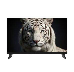 Телевизор Topdevice 24'' TDWC24BH5260V HD / IPS / Smart GTV / 1.5-32 ГБ / Wi-Fi 2.4+5 ГГц / BT 5.1 / 60 Гц / черный
