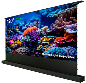 Экран Cactus 148x263см FloorRising CS-PSFRCLR-263X148 16:9 напольный рулонный черный  (моторизованный привод)