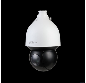 Камера видеонаблюдения Dahua DH-SD5A425GB-HNR
