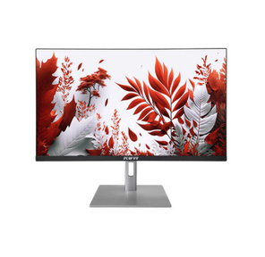 Монитор RDW Computers 23.8" RDW2407 черный IPS 1ms HDMI M / M 300cd 178гр / 178гр 1920x1080 120Hz VGA FHD  (RUS)