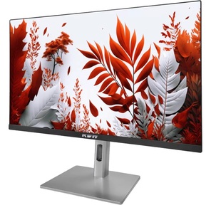 Монитор RDW Computers 23.8" RDW2407 черный / серебристый IPS 1ms HDMI M / M HAS Piv 300cd 178гр / 178гр 1920x1080 120Hz VGA DP FHD USB  (RUS)