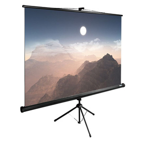 Экран Cactus 180x180см TriExpert CS-PSTE-180x180-BK 1:1 напольный рулонный