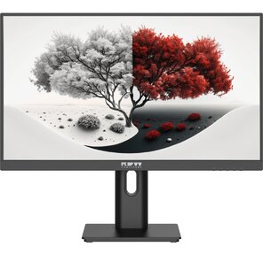 Монитор RDW Computers 23.8" 2401K черный IPS 4ms 16:9 HDMI M / M матовая HAS Piv 1000:1 250.300cd 178гр / 178гр 1920x1080 100Hz VGA DP 1.7кг  (RUS)