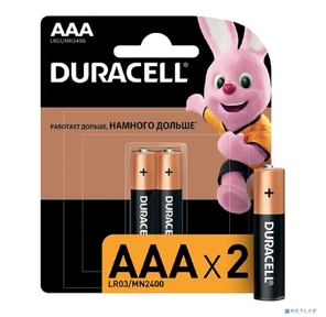 Duracell LR03-2BL BASIC CN  (24 / 96 / 14592)