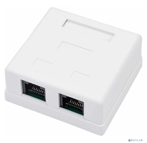 Rexant  (03-0151) Розетка компьютерная 2-порта RJ-45 (8P8C),  категория 5е,  внешняя  (25шт)