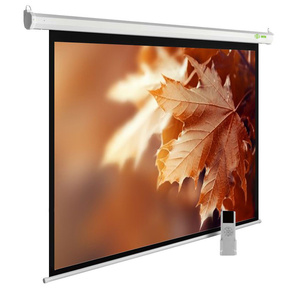 Экран Cactus 188x300см MotoExpert CS-PSME-300x188-WT 16:10 настенно-потолочный рулонный белый  (моторизованный привод)