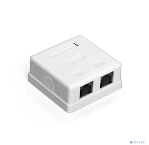 Exegate EX292843RUS Розетка внешняя двойная ExeGate SM2-RJ45-C5 RJ-45 кат.5 / 5E UTP Krone / 110