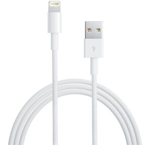 Apple Lightning to USB cable  (0.5 m)