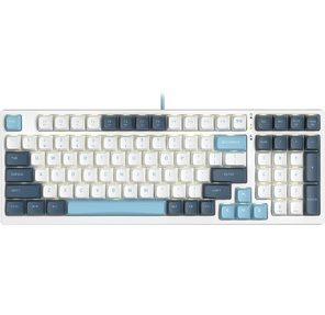 Клавиатура A4Tech Fstyler FS300 механическая белый / синий USB for gamer LED  (FS300 PANDA SNOWBOARDING)