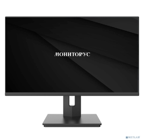 LCD Мониторус HS 2400  (WD2400-K-VHPI-AS175Q) {23.8", 1920x1080, 100Гц, IPS, 16:9, 5мс, VGA, HDMI, DP, 1000:1, 178 / 178,  250cd,  Динамики,  регулировка наклона,  Внутренний,  Реестр МПТ}