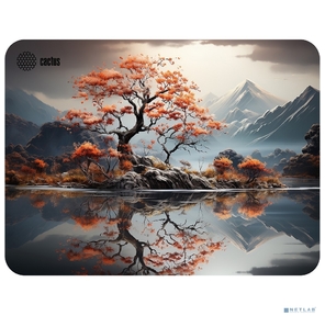 Коврик для мыши Cactus Lake 400x300x3мм  (CS-MP-PRO18XL)
