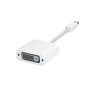 Apple MB570Z / A Mini Displayport to DVI Adapter - INT