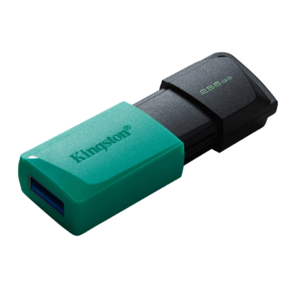 Флеш Диск Kingston 256Gb DataTraveler DTXM DTXM / 256GB USB3.2 черный / красный