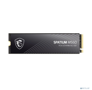 SSD жесткий диск PCIE 5.0 NVME M.2 1TB SPATIUM M560 1TB MSI