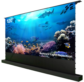 Экран Cactus 148x263см FloorRising CS-PSFRALR-263X148 16:9 напольный рулонный черный  (моторизованный привод)