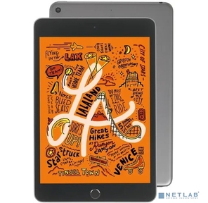 Apple iPad mini Wi-Fi + Cellular 256GB - Space Grey  (MUXC2HN / A)  (2019)