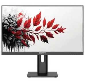 Монитор RDW Computers 27" RDW2701K черный IPS 1ms HDMI M / M матовая HAS Piv 350cd 178гр / 178гр 2560x1440 DP QHD  (RUS)