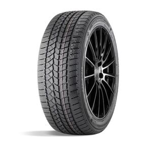 ДаблСтар  265 / 50 / 19  T 110 DW02