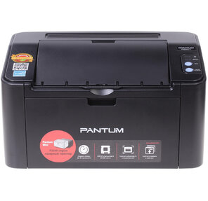 Pantum P2207 лазерный,  монохромный,  А4,  20 стр / мин,  1200x1200dpi,  64Мб RAM,  лоток 150 листов,  USB 2.0,  черный