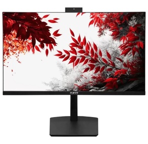 Монитор RDW Computers 23.8" RDW 2402K черный IPS 4ms HDMI M / M Cam HAS Piv 300cd 178гр / 178гр 1920x1080 100Hz VGA DP USB  (RUS)