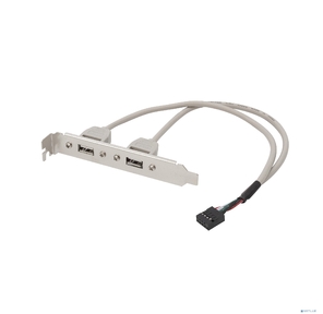 Bion планка портов 2xUSB2.0,  30 см [BXP-MB-2USB]