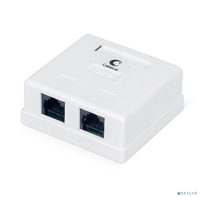 Cabeus WS-8P8C-Cat.5e-2 Розетка компьютерная RJ-45,  категория 5e,  двойная,  внешняя,  Dual IDC