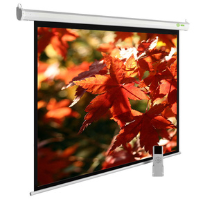 Экран Cactus 150x200см SIlverMotoExpert CS-PSSME-200X150-WT 4:3 настенно-потолочный рулонный белый  (моторизованный привод)