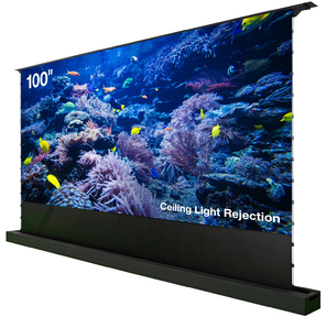 Экран Cactus 125x221см FloorRising CS-PSFRCLR-221X125 16:9 напольный рулонный черный  (моторизованный привод)