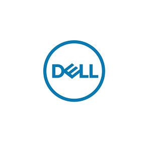 DELL 3.84TB SFF 2.5" SSD Read Intensive SAS 12Gbps,  Hot-plug For 11G / 12G / 13G / T340 / T440 / T640 / MD3 / ME4